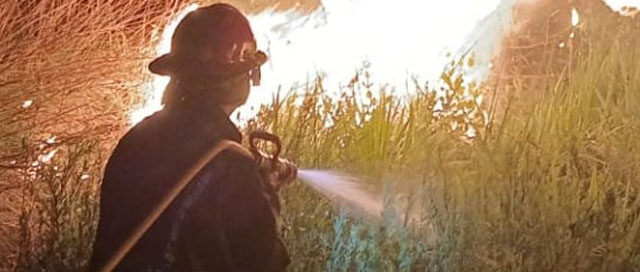 MISIONES: La provincia bajo alerta por riesgo de incendios forestales