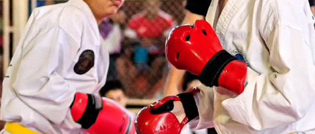 WANDA: La Copa Piedra Preciosa reunió a escuelas de Taekwon-Do de la región