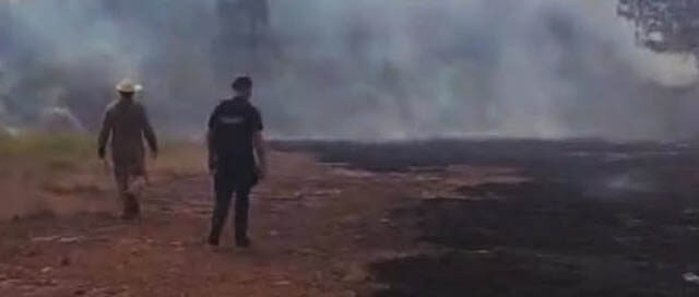 CAMPO VIERA: Bomberos contuvieron un incendio de malezas cerca de una plantación de pinos