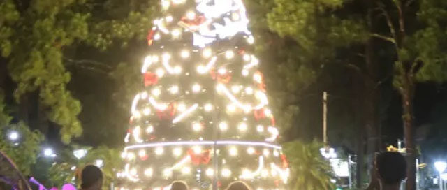 OBERÁ: Encendido del árbol navideño y presentación del pesebre restaurado en la plazoleta Güemes