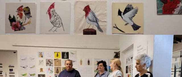 OBERÁ: El Museo Histórico presenta la muestra “Descubriendo Aves Misioneras”