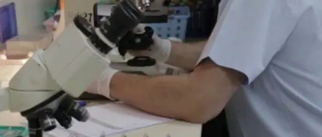 POSADAS: El Hospital Madariaga presentó avances en terapias con anticuerpos biespecífico