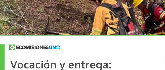 Vocación y entrega: brigadistas misioneros brindan apoyo en el combate de incendios en la Patagonia