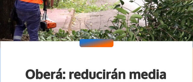 Oberá: reducirán media calzada en avenida Sarmiento por trabajos de poda