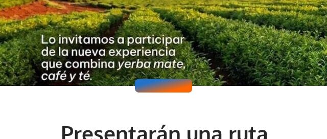 Presentarán una ruta turística que integra la producción de té, yerba mate y café de especialidad