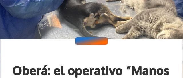 Oberá: el operativo “Manos a la Obra” llegó al barrio Schuster con acciones de limpieza y salud animal